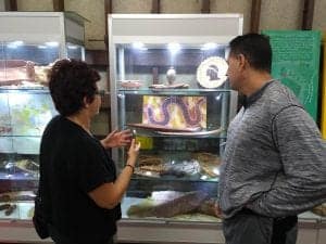 IMG_20190307_143545148